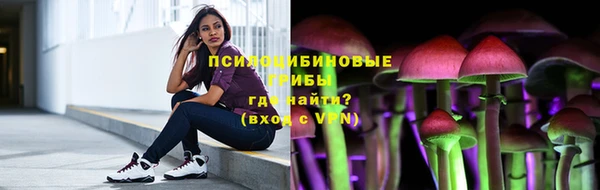 молекула духа Нефтекумск
