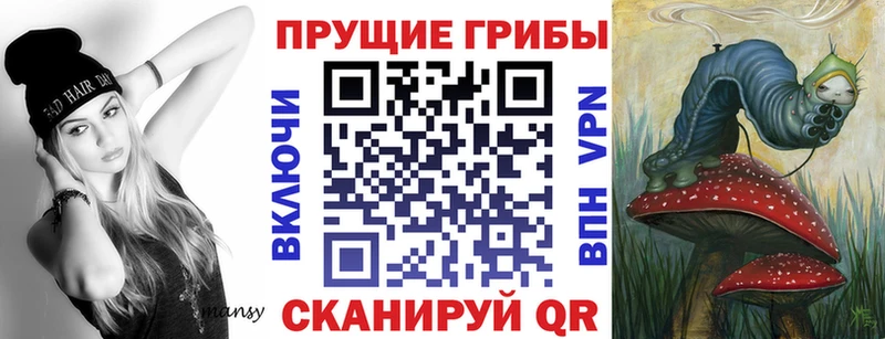 Галлюциногенные грибы мицелий  Купить  Цоци-Юрт 